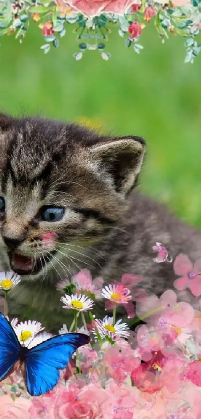 Playful kitten with floral border and butterfly on green grass.