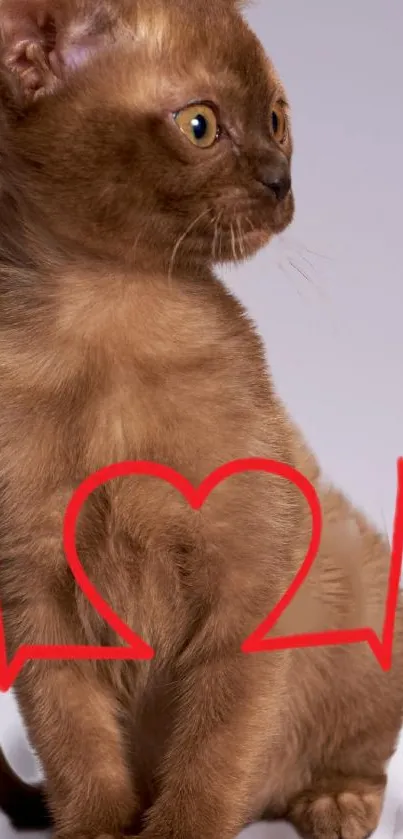 Cute brown kitten with a heartbeat design, perfect mobile wallpaper.