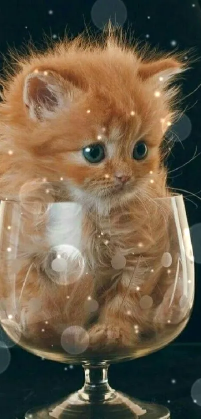 Adorable orange kitten snuggled in a glass cup, perfect mobile wallpaper.