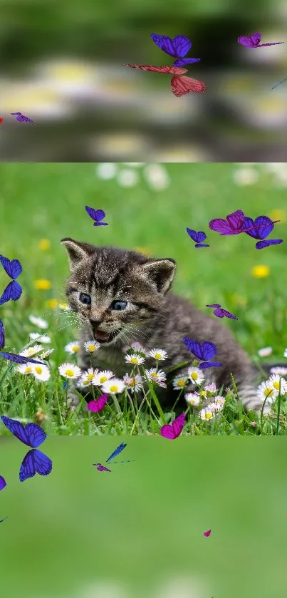 Cute kitten surrounded by butterflies in a green meadow.