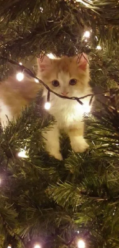 Cute kitten nestled in Christmas tree with glowing lights.