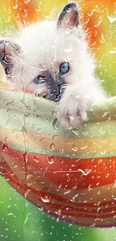 Cute kitten nestled in a colorful hammock with vibrant background.