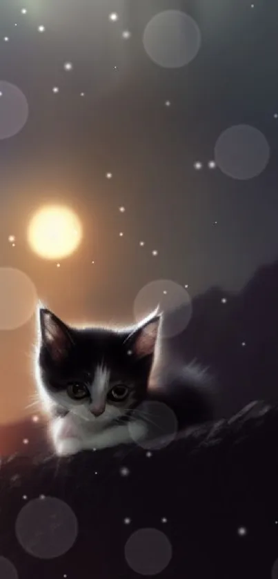 Cute kitten resting in a dreamy dusk light setting, perfect for phone wallpaper.