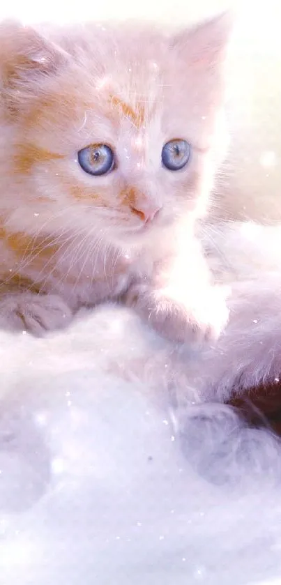 Adorable kitten with blue eyes on a fluffy, dreamy pastel background.