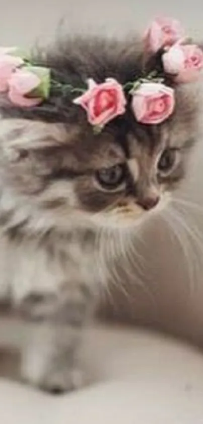 Cute kitten wearing a floral crown on a beige sofa background.