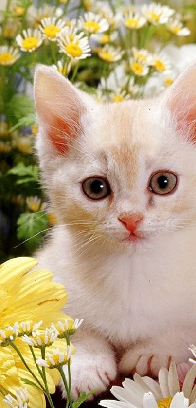 Cute kitten surrounded by yellow and white flowers in a garden setting.