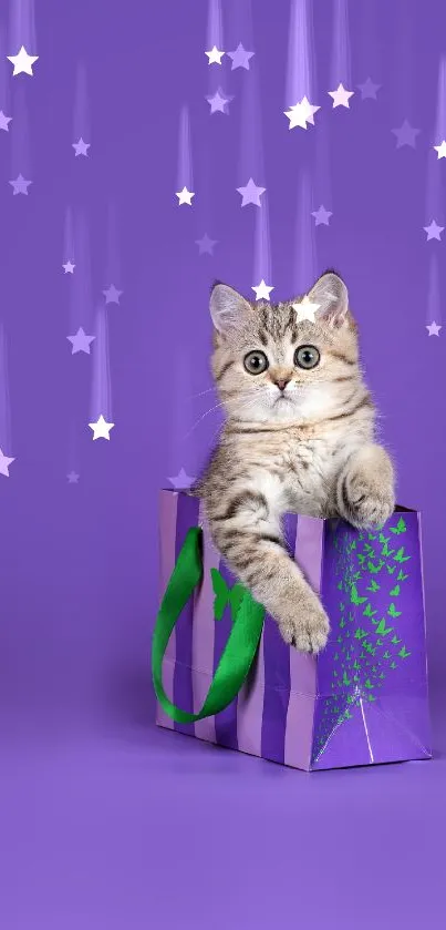 Adorable kitten sitting in a purple gift bag on a vibrant purple background.