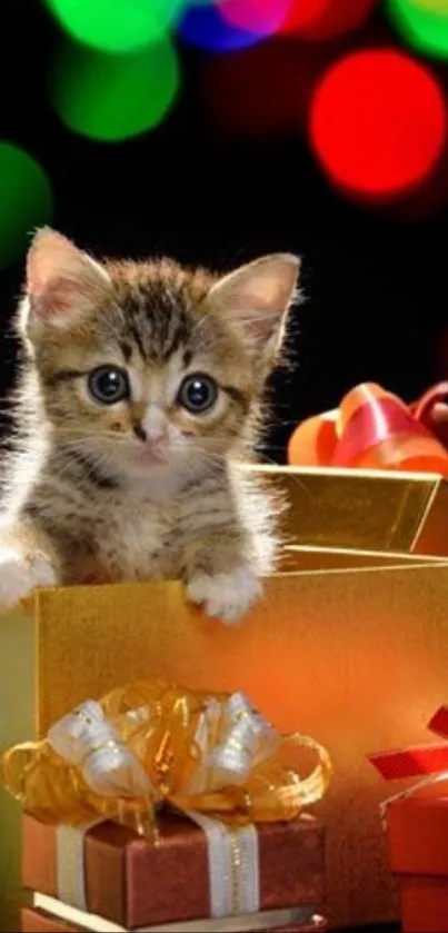 Cute kitten peeking out of a gift box with colorful, festive lights background.