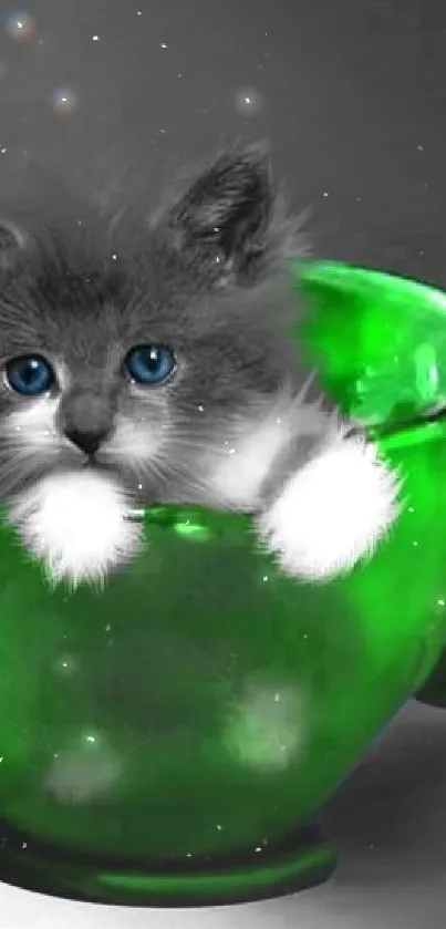 Fluffy kitten peeking from a vibrant green teacup.