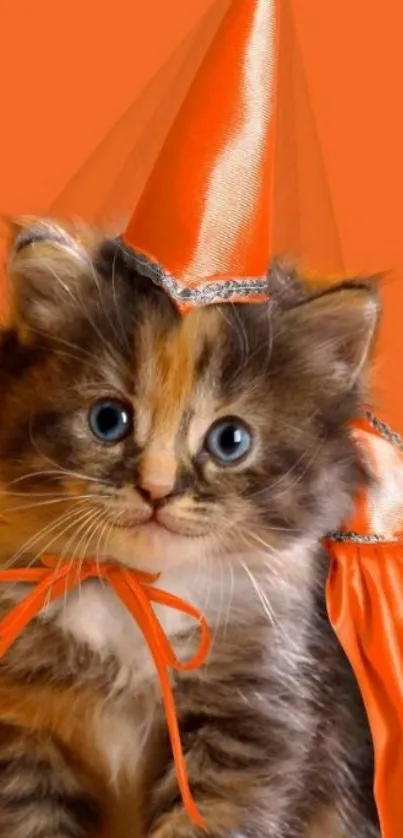 Kitten in an orange Halloween witch costume against orange background.