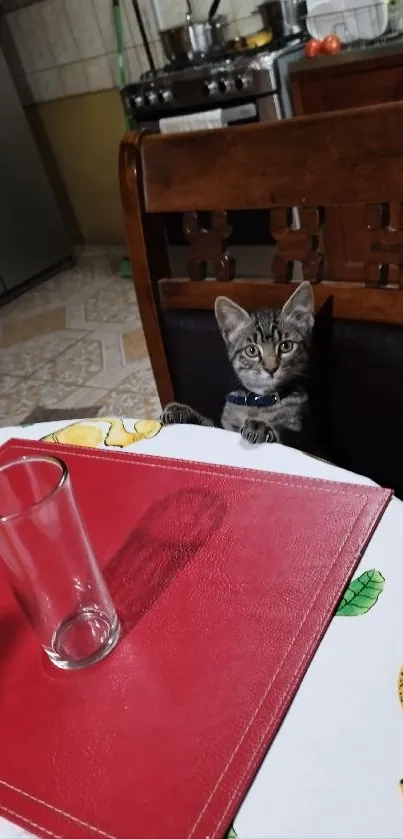 Adorable kitten sitting at a kitchen table with a red placemat.