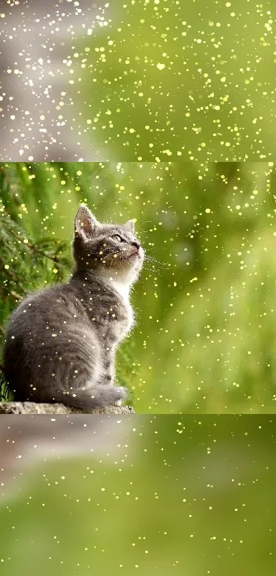 Adorable kitten enjoying nature with golden sparkles and greenery.