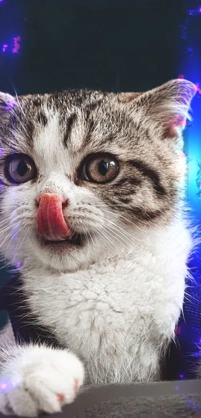 Cute kitten with pink tongue and neon lights on mobile wallpaper.