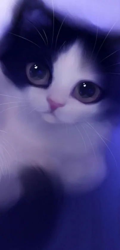 Adorable black and white kitten with a purple background.