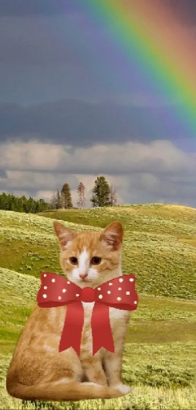 Cute kitten with bowtie in a vibrant rainbow field scene.