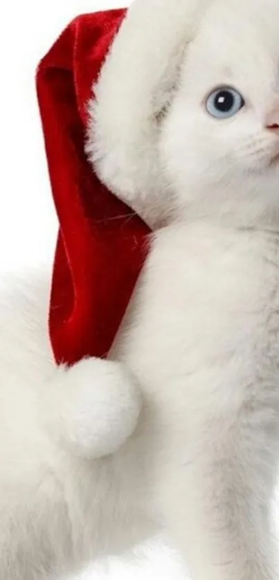 Adorable white kitten wearing a red Santa hat, perfect for mobile wallpaper.