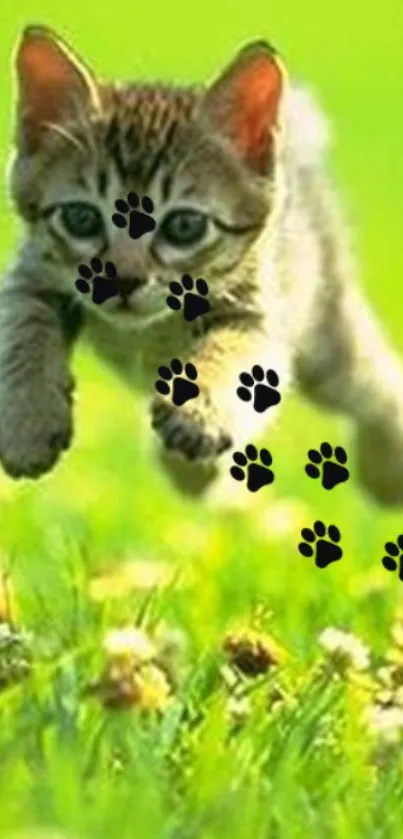 Playful kitten leaping through a vibrant green field with paw prints.