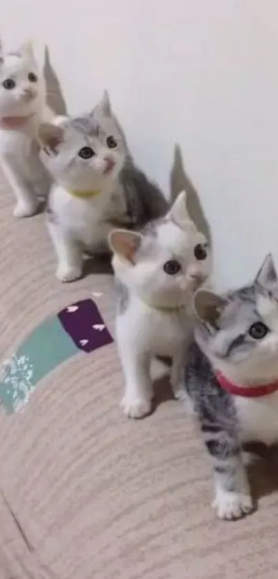 Five cute kittens in a row on a beige sofa.