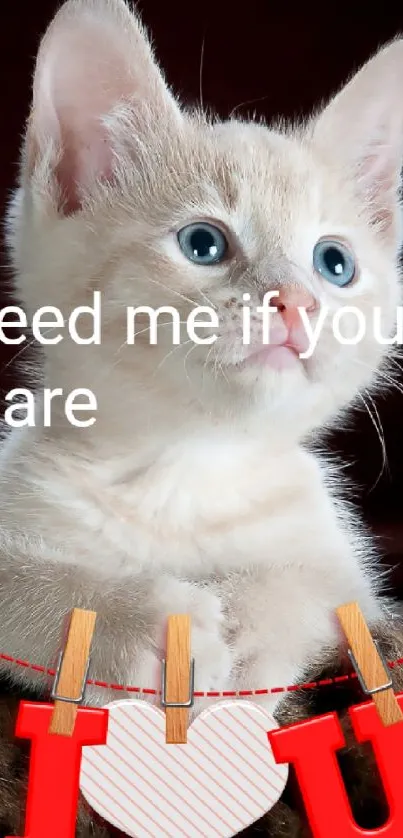 Adorable kitten with heart I love U message.