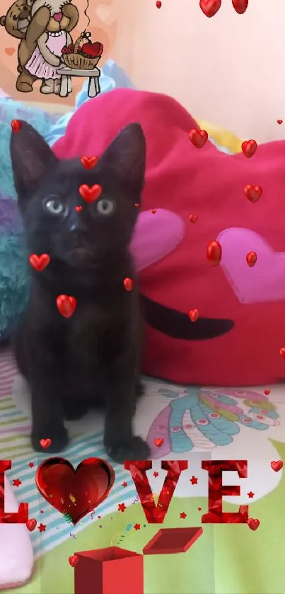 Cute black kitten with love pillows and colorful bedspread.