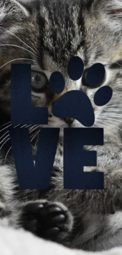 Adorable kitten with 'LOVE' text in paw print design mobile wallpaper.