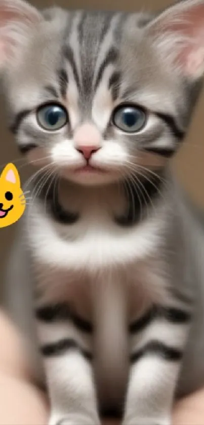 Adorable gray kitten sitting on a hand with cute cartoon cat.