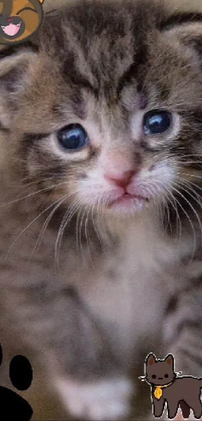 Charming kitten with big eyes and cartoon embellishments.