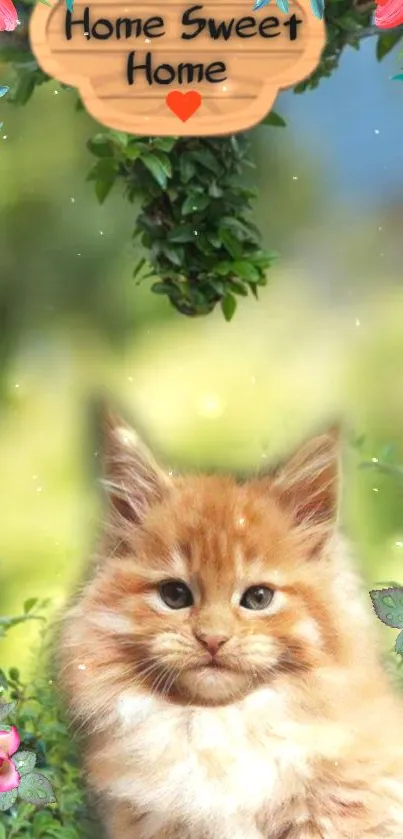 Adorable kitten and flowers with 'Home Sweet Home' sign in a lush garden setting.