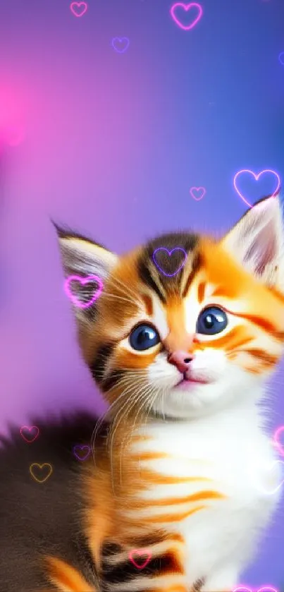 Adorable striped kitten on a vibrant purple background.