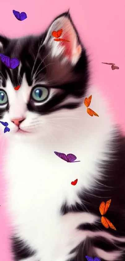 Black and white kitten with blue eyes on a vibrant pink background.