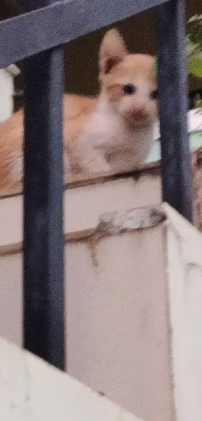 Ginger kitten sitting on a staircase, looking curious and cute.