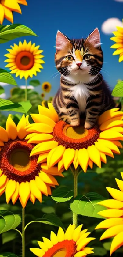 A cute kitten sits among vibrant sunflowers in a bright, sunny field.