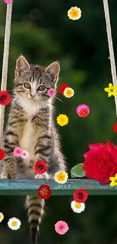 Adorable kitten sitting on a swing with a red rose, set against a green background.