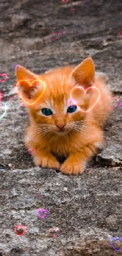 Adorable orange kitten on rustic ground with green foliage.