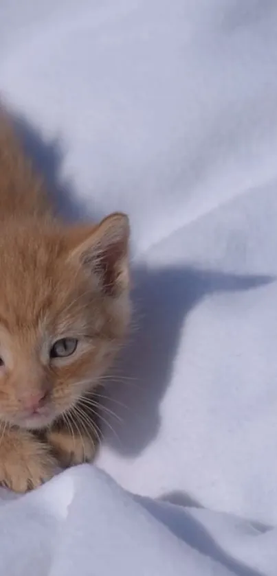 Ginger kitten resting on a soft white blanket, perfect for mobile wallpaper.