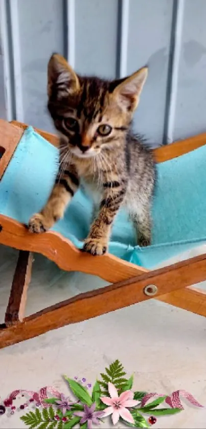 Cute kitten sits on a blue chair with floral design.
