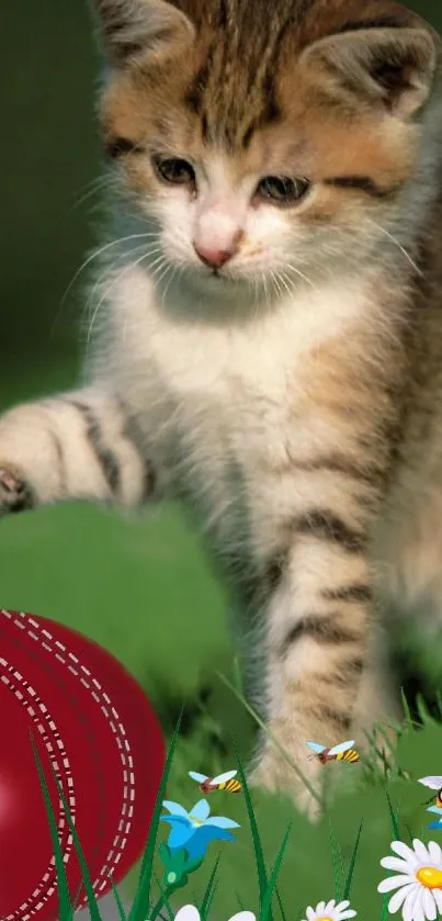 Adorable kitten playing with a red ball on a grassy field with flowers.