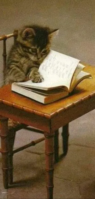 Cute kitten reading a book on a tiny wooden desk.