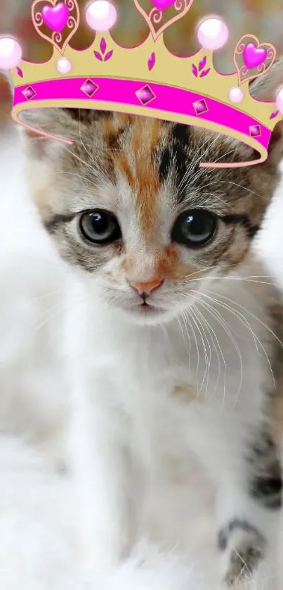 Cute kitten with a pink crown on fuzzy white background.