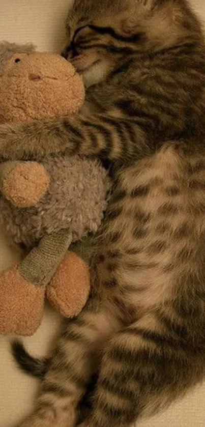 Cute kitten snuggling with a plush toy in a cozy scene.