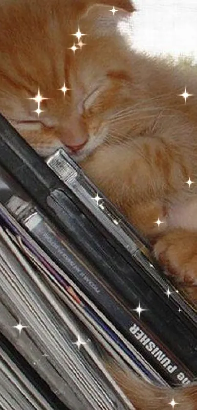 Ginger kitten sleeping on books, creating a cozy feel.