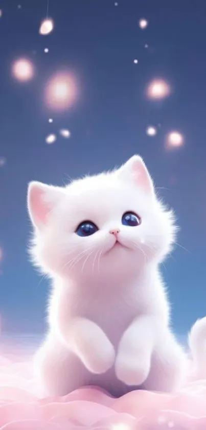 Fluffy white kitten with sparkling lights in a dreamy blue night sky.