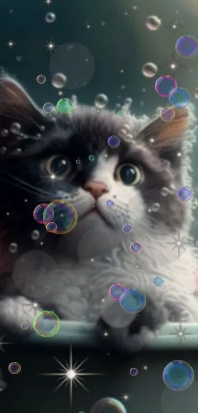 Cute kitten with bubbles in a dark setting.