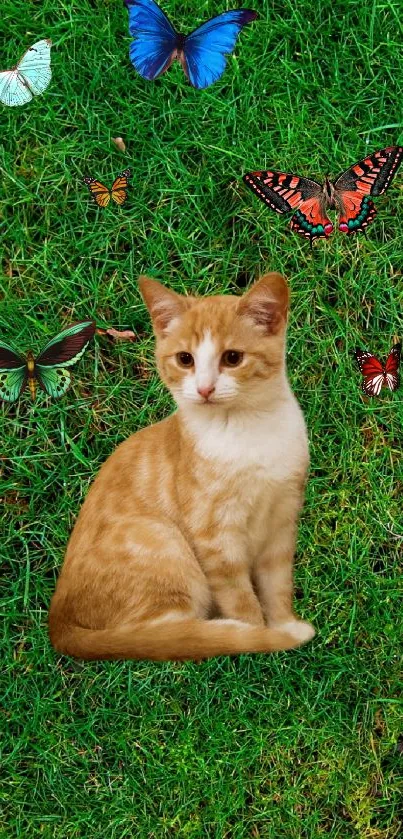 Cute kitten with butterflies on green grass wallpaper.