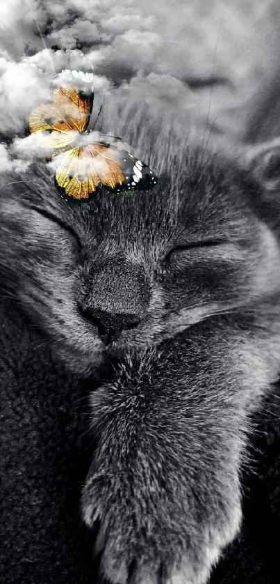 Cute kitten sleeping with a butterfly atop its head in a black and white setting.