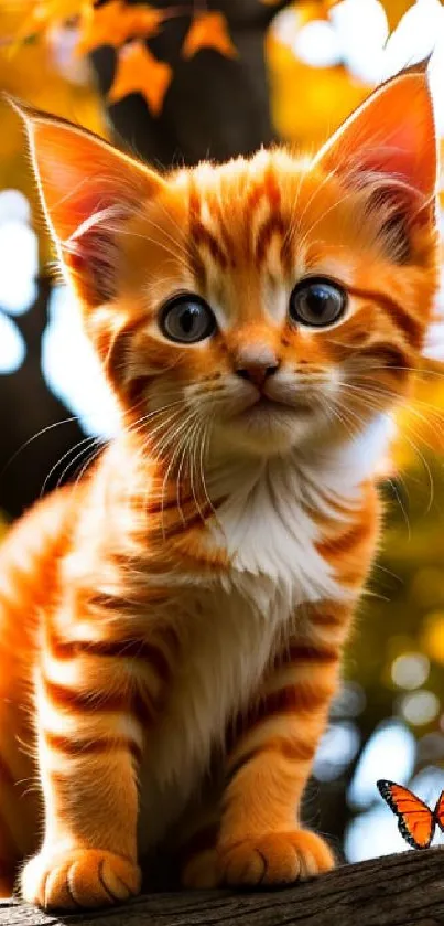 Cute orange kitten with butterfly in autumn setting, perfect wallpaper.