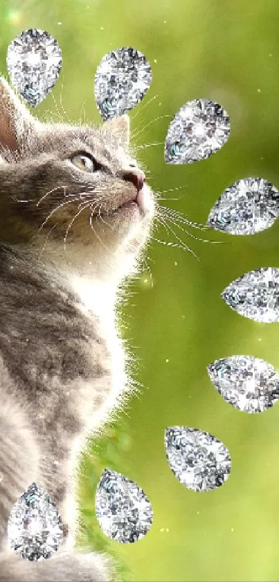 Kitten with a diamond aura on a green backdrop, perfect for wallpapers.