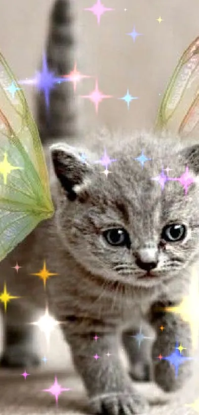 Gray kitten with colorful fairy wings on a beige background.