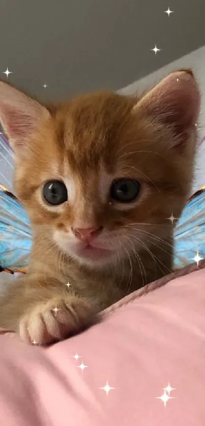 Cute kitten with fairy wings on a pillow.