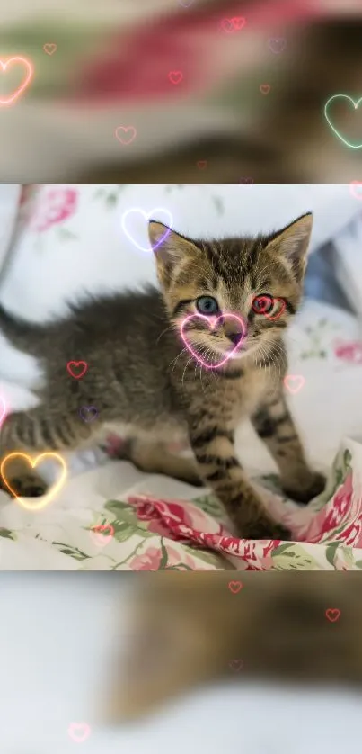 Cute kitten with colorful floating hearts on a floral backdrop.